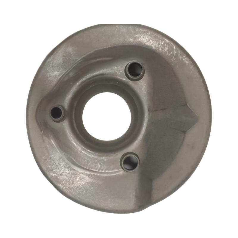 tavaszi lemez 3100070